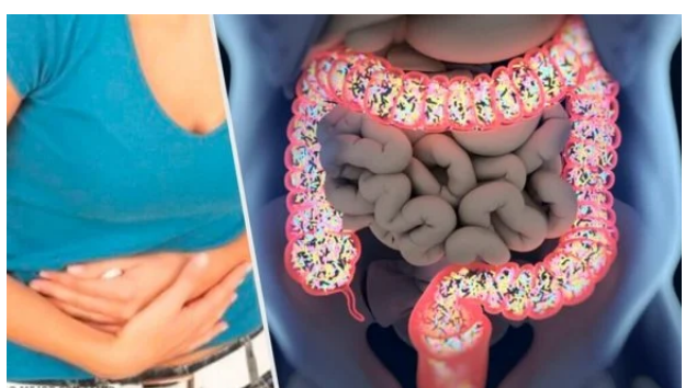Gastroenterit Nedir ? Gastroenterit hastalığının 7 Sebebi
