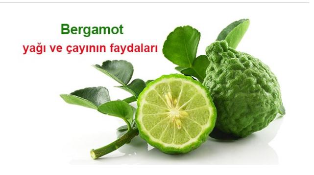 Bergamotun faydaları nelerdir ? Bergamot Neye İyi Gelir ?